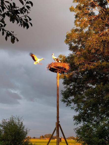 Achterhuis Hamingen Staphorst Bagian luar foto